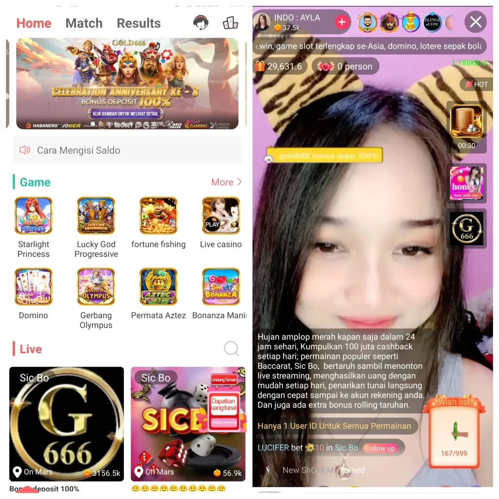 Bling2 Mod Apk (Unlock Room) Latest Version